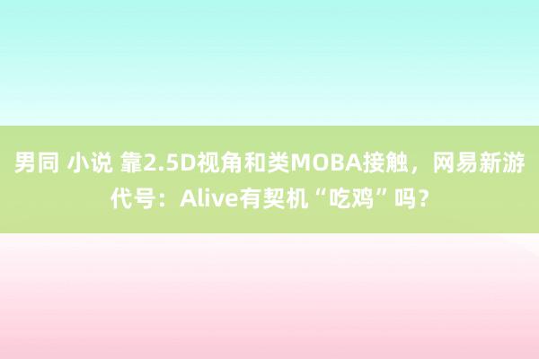 男同 小说 靠2.5D视角和类MOBA接触，网易新游代号：Alive有契机“吃鸡”吗？